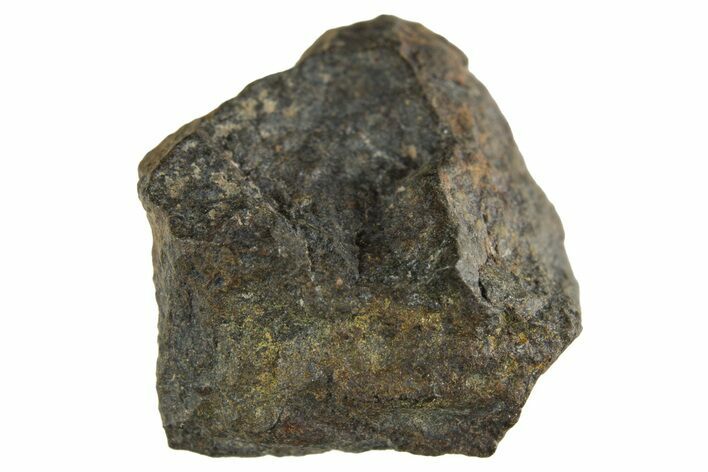 Carbonaceous Chondrite Meteorite ( g) - NWA #313699